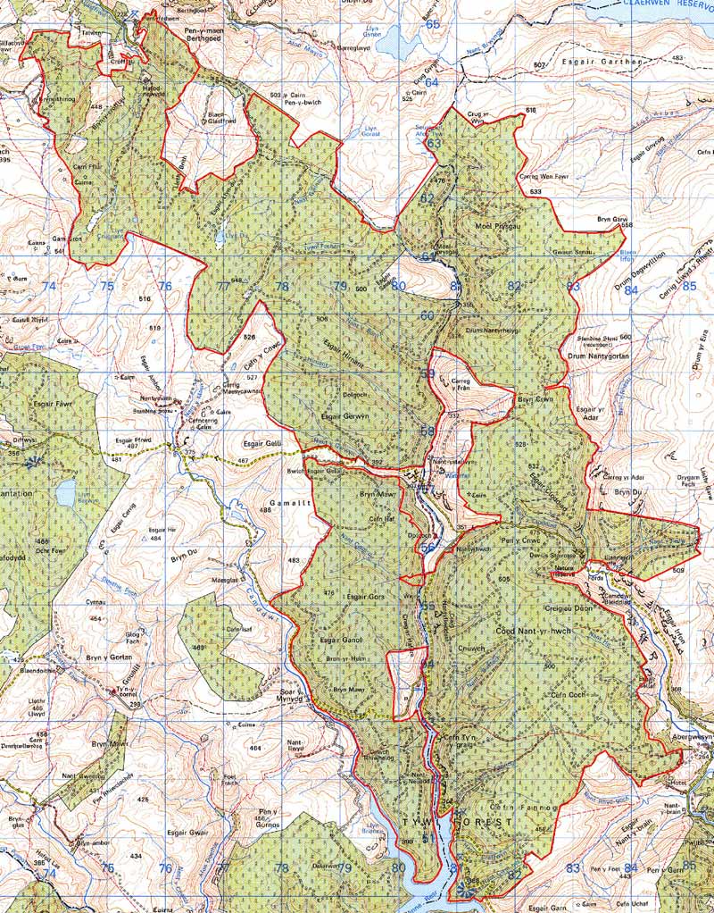 TYWI FOREST MAP